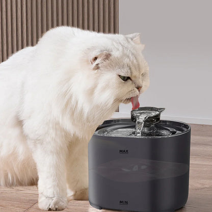 The Purrrfect™ FreshFlow Hydration System